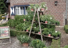 Gourmetzauber of Kientzler. 